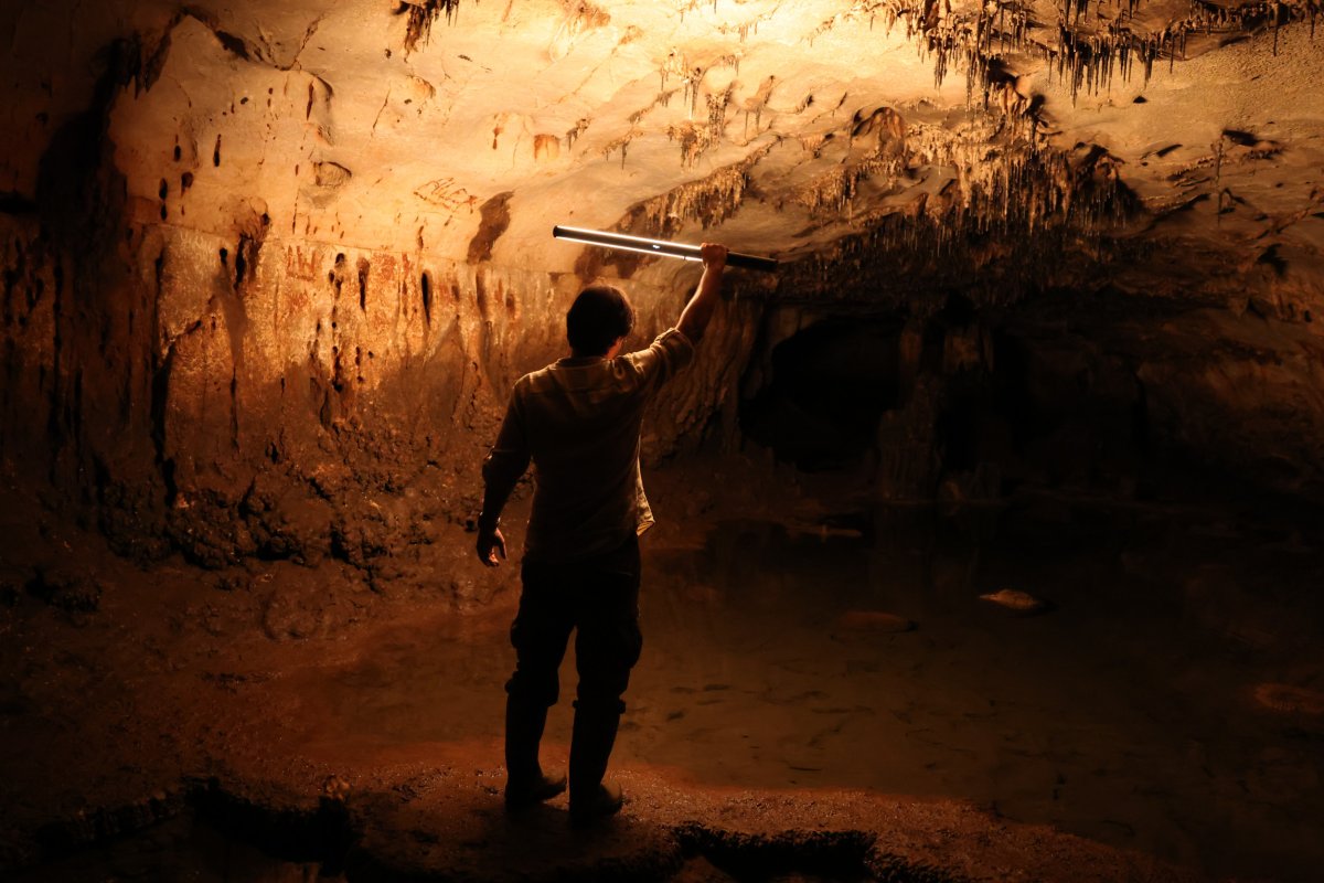 Researcher inside a cave with artworks