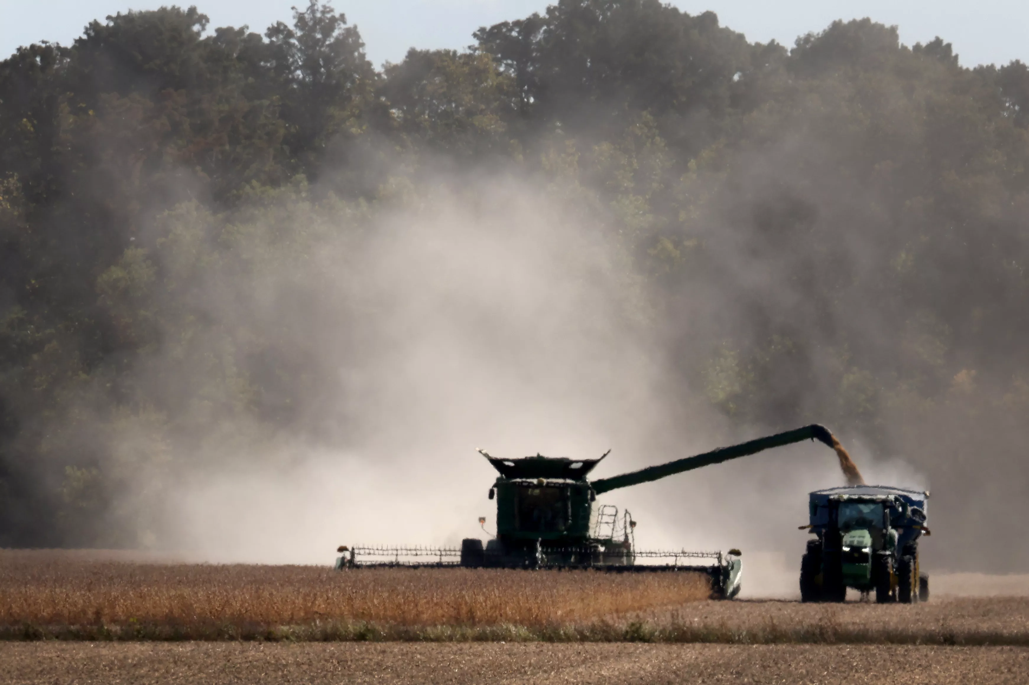 It's Time for a Rural New Deal - Vimarsana News