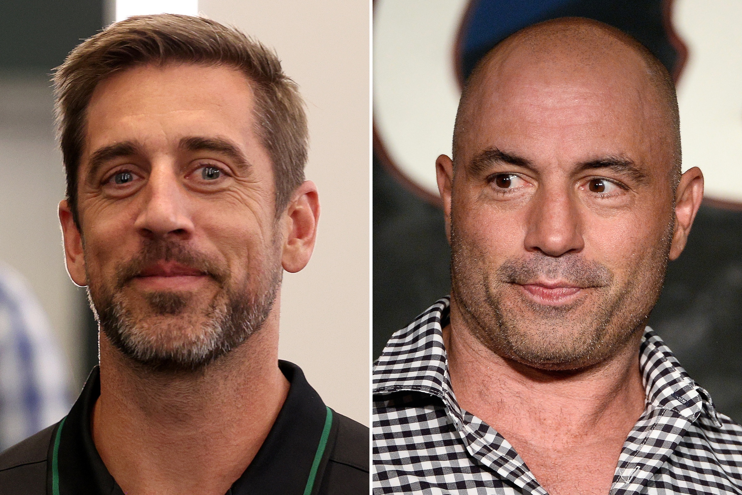 aaron rodgers joe rogan