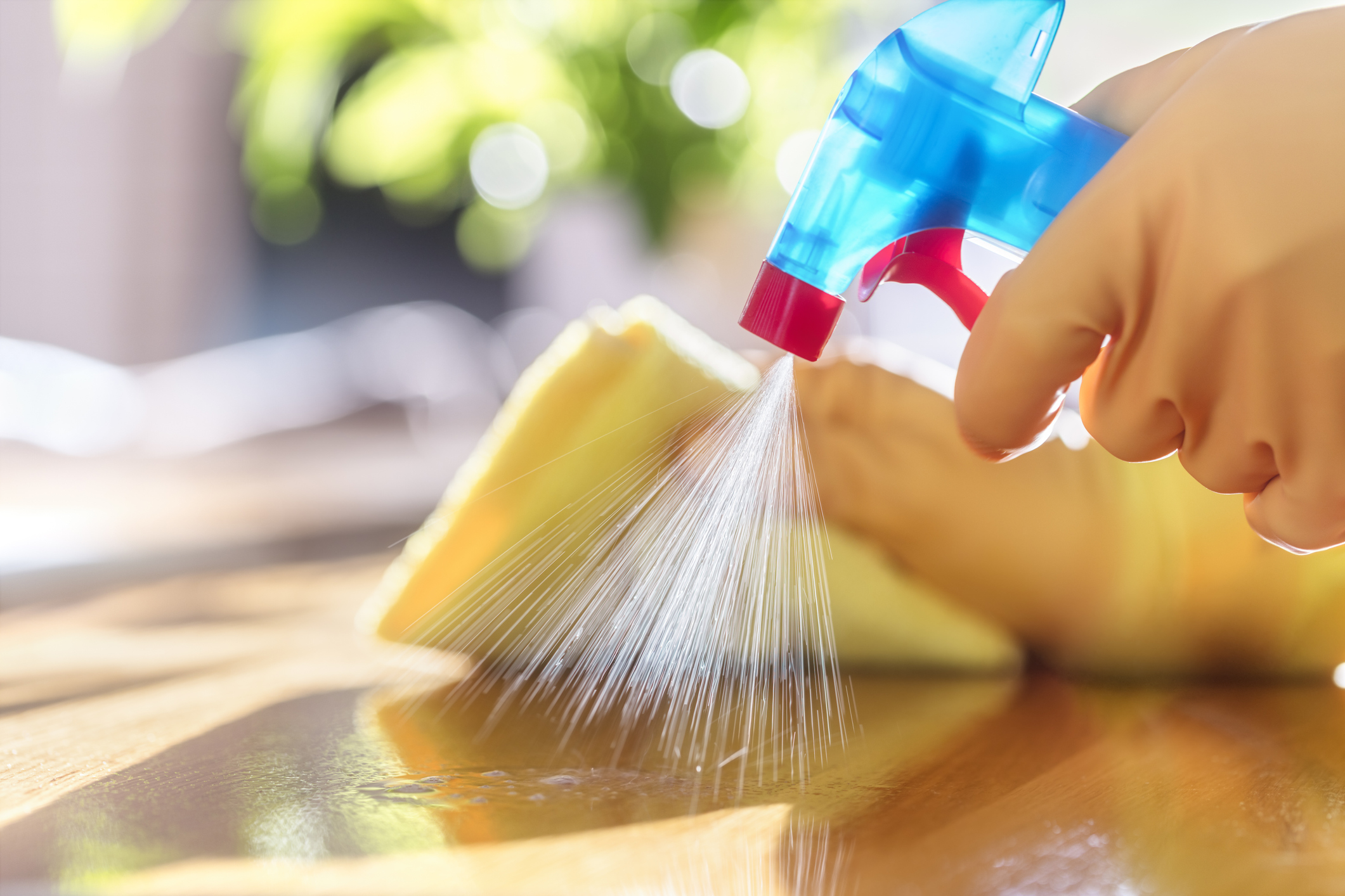 Toxicologists Discover Popular Cleaning Products Can Increase