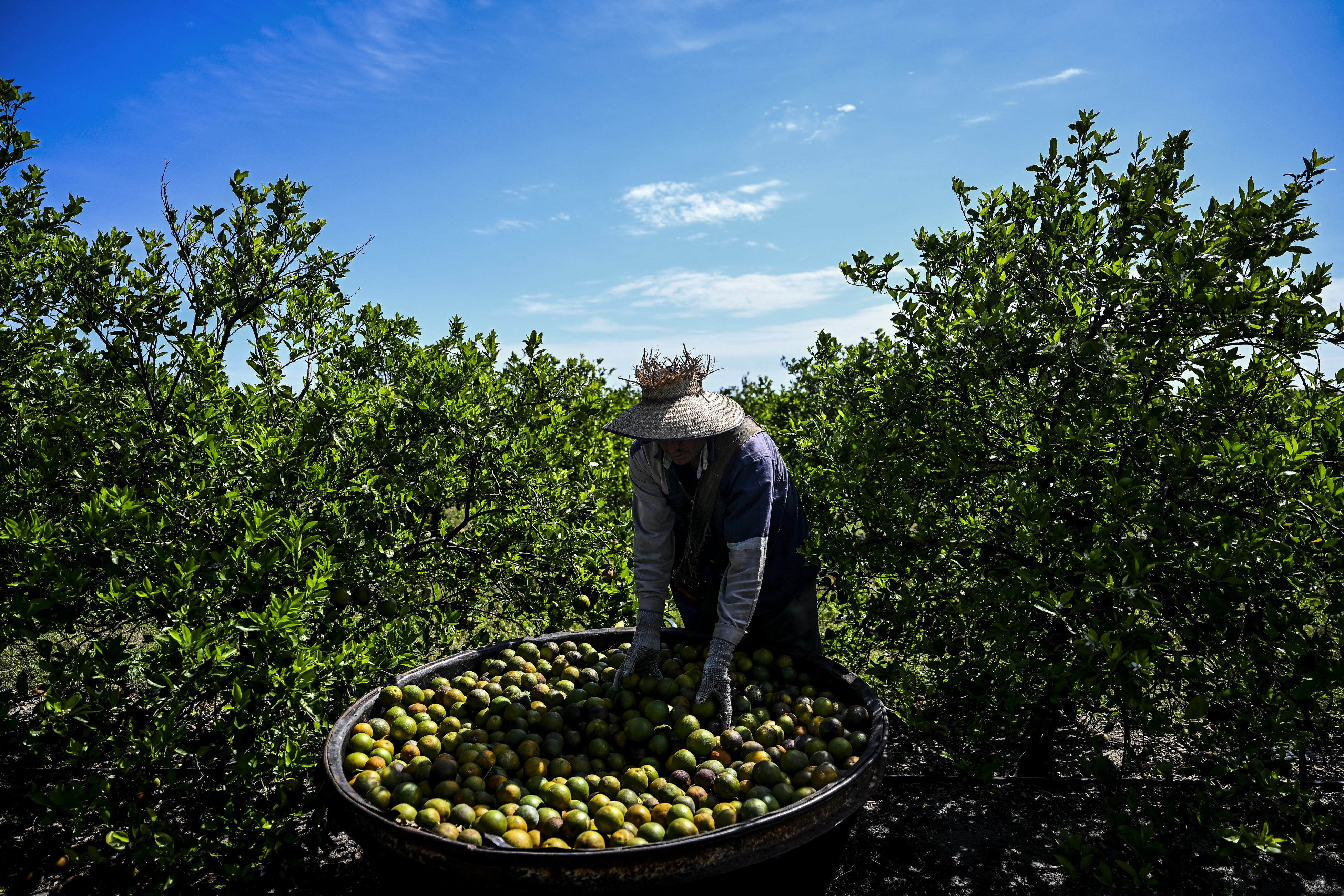 American Companies Are Desperate for Labor. We Need More Guest Workers From Abroad&mdash;Now | Opinion