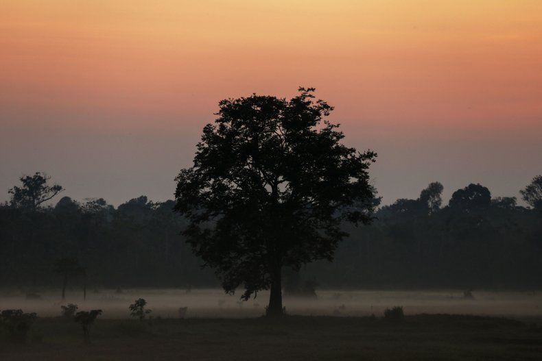 Smoke from illegal fires lit by farmers