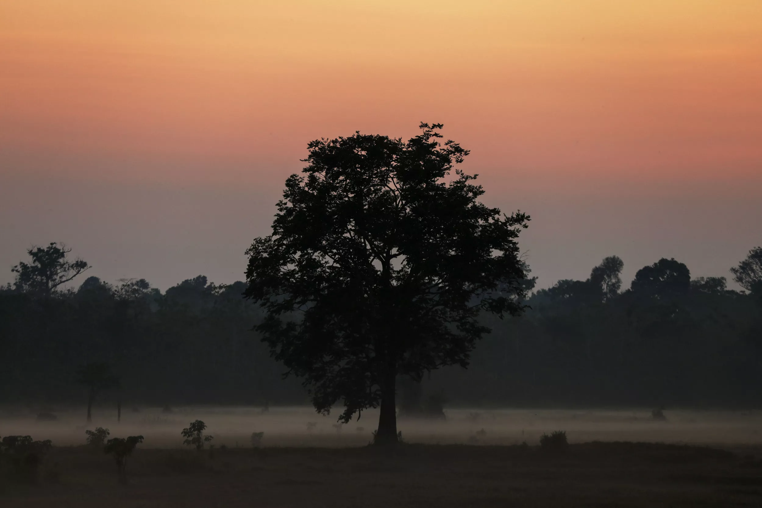 A Case for Carbon Markets As a Path for Climate Action - Vimarsana News