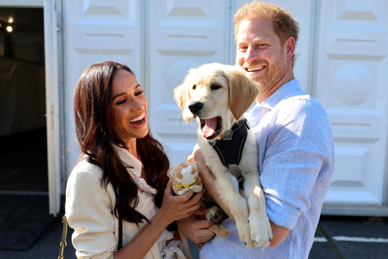 Prince Harry Meghan Markle Invictus Puppy Moment