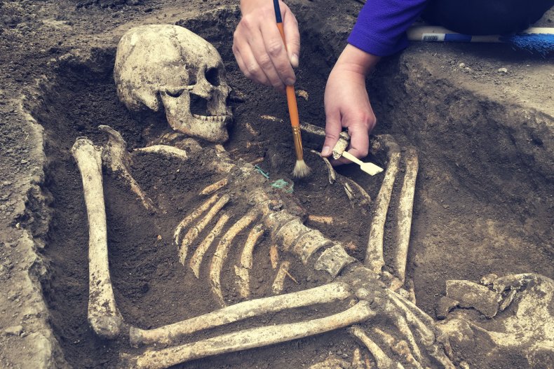 Excavation of human remains