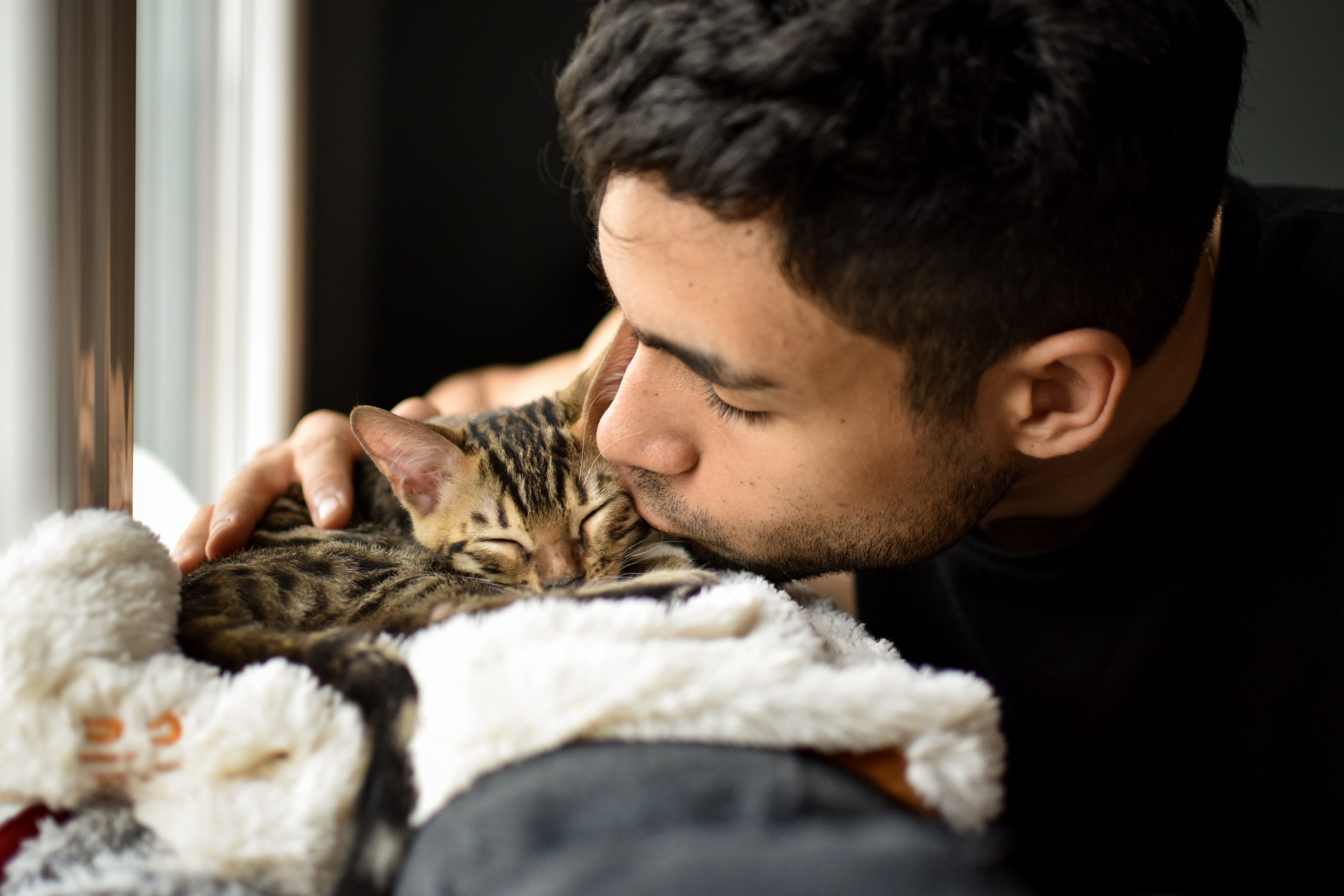 Shock as man raised with dogs reveals why he prefers cats