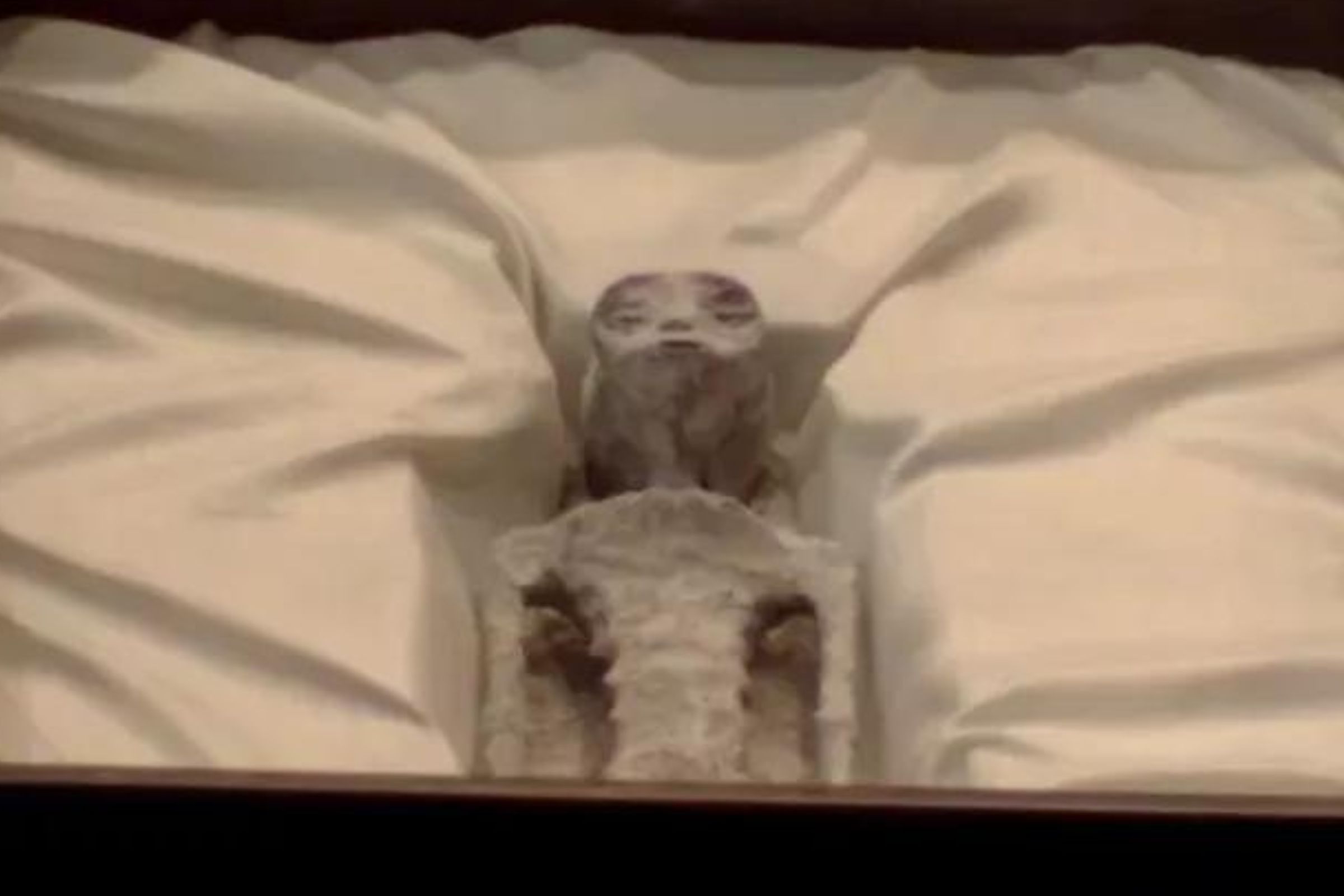 Un ADN « inconnu » a-t-il été trouvé dans des momies du Pérou ?  Ce que nous savons