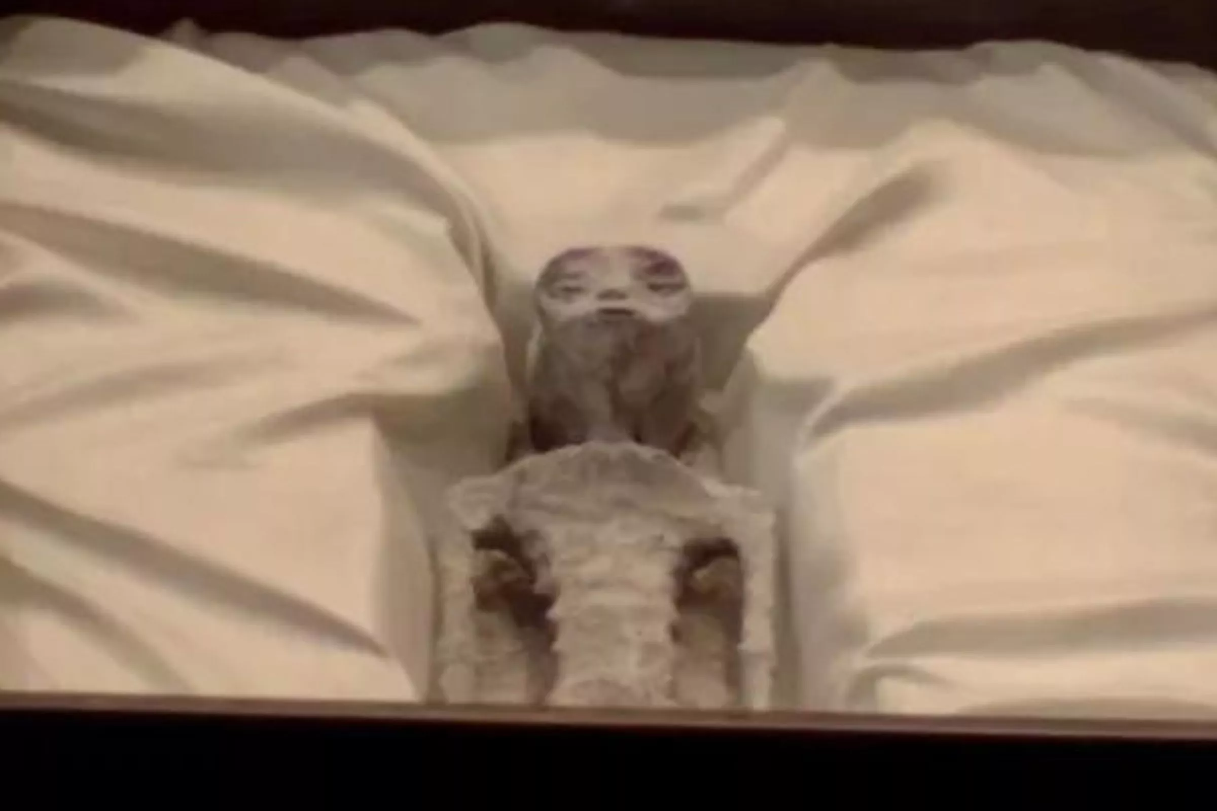 Was 'Unknown' DNA Found in Peru Mummies? What We Know - Vimarsana News