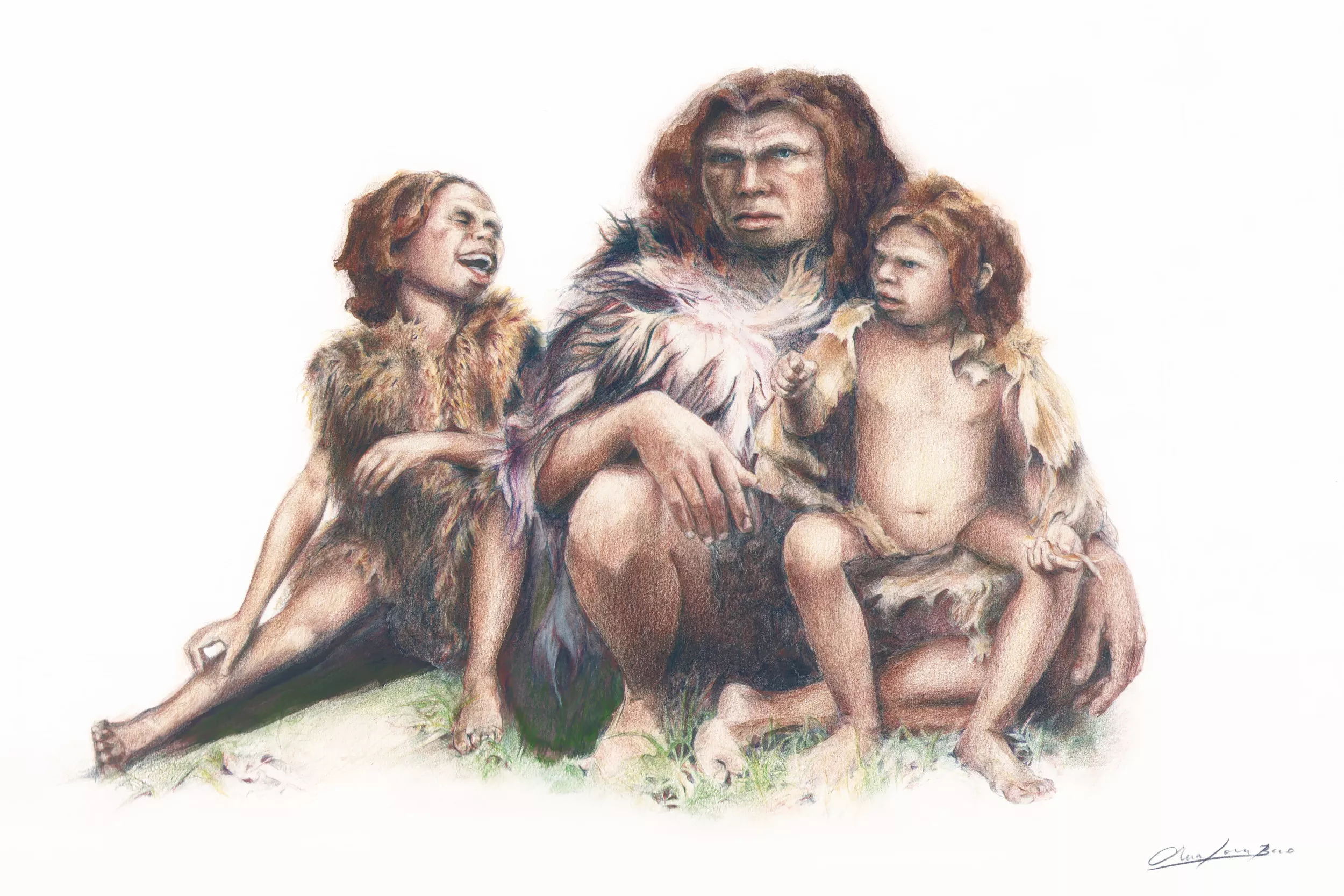 Bones Stored in Box for Decades Turn Out To Be Neanderthal Remains - Vimarsana News