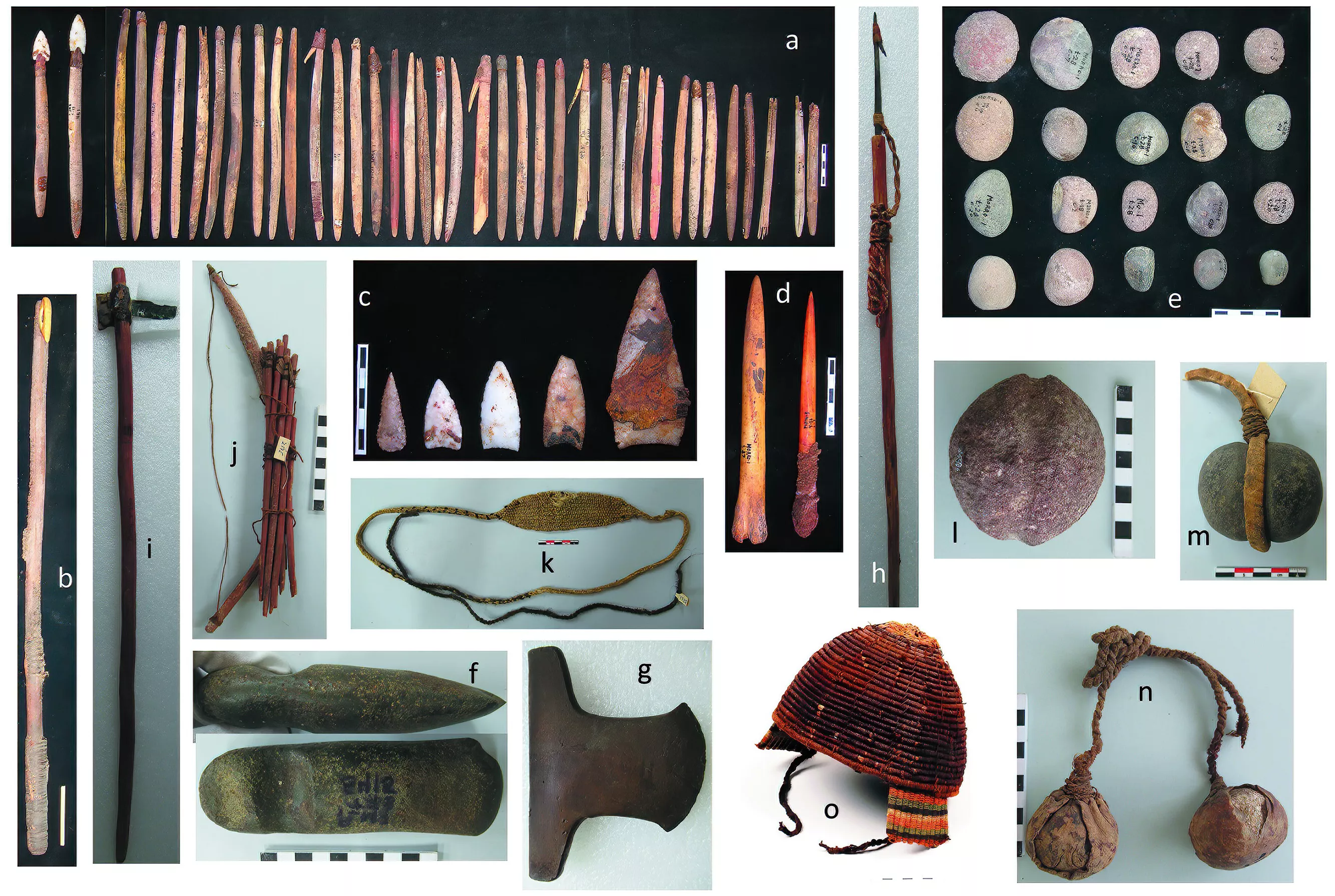 Ancient Weapons Throw Light on Humans' History of Violence - Vimarsana News