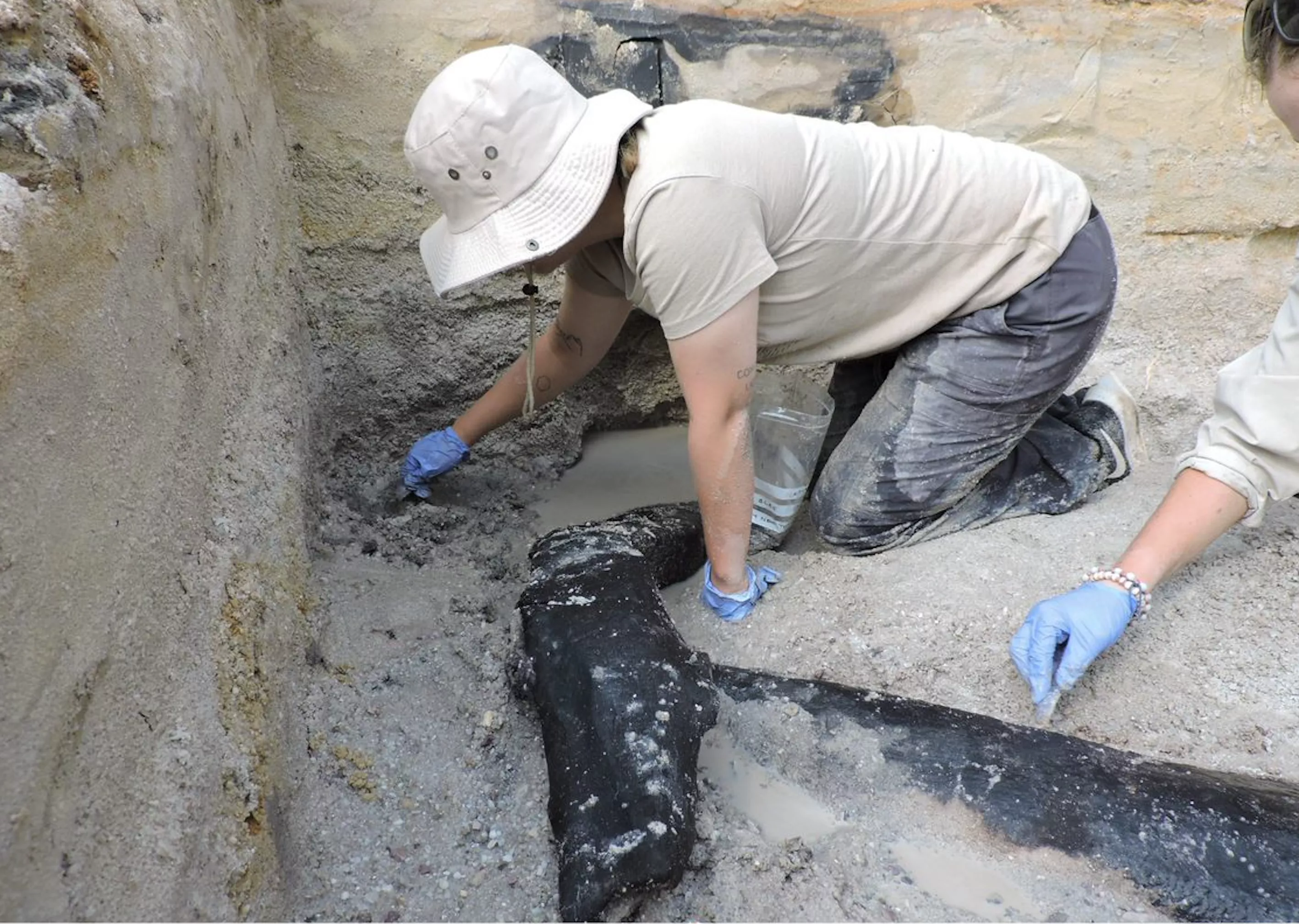 Earliest Structural Use of Wood From 500,000 Years Ago Discovered - Vimarsana News