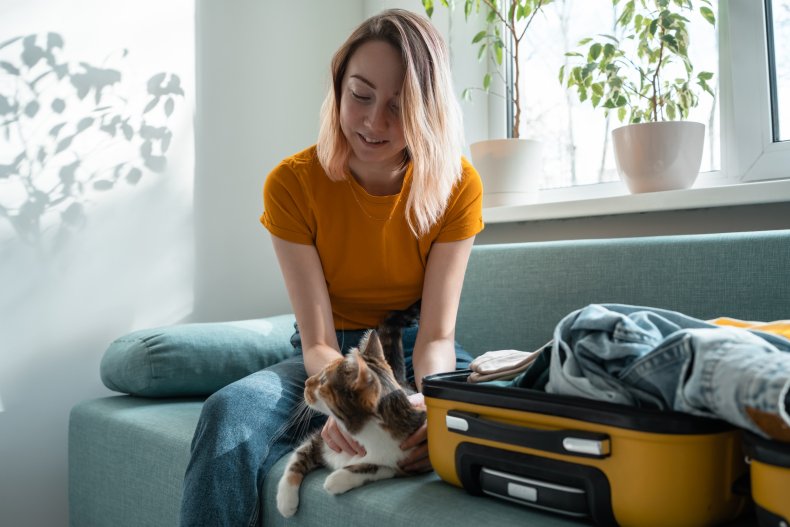 cat packs stuff to move with owner
