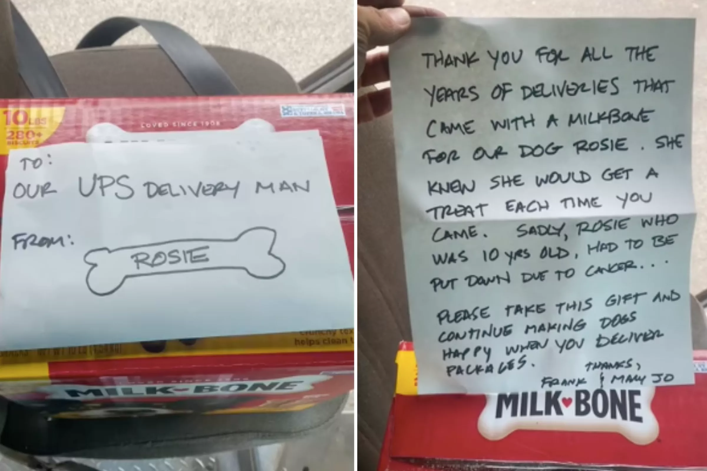 UPS Driver Finds Goodbye Note From Sick Dog He Saw on His Route for Years - Vimarsana News