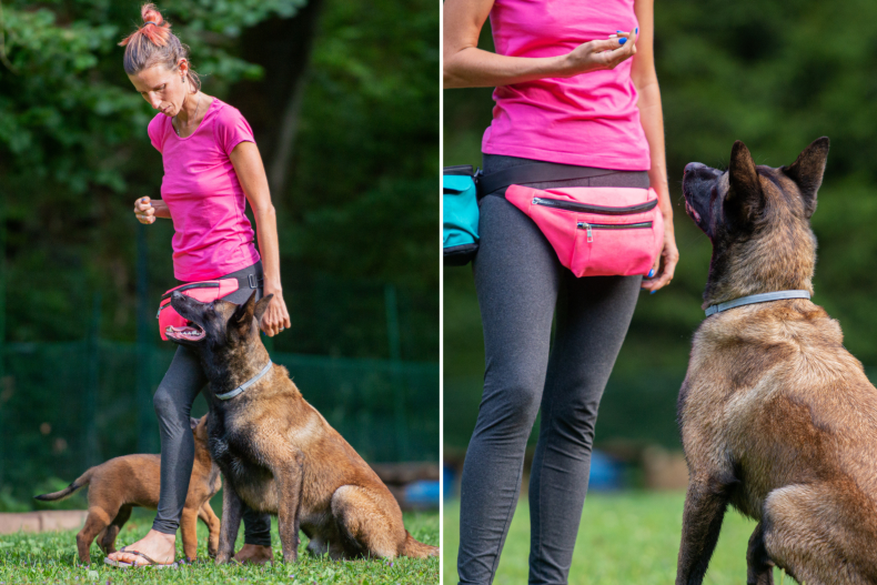 Woman training her dog