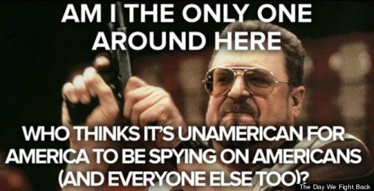 nsa1 nsa1
