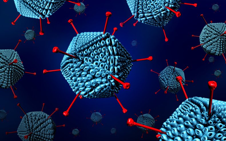 adenovirus