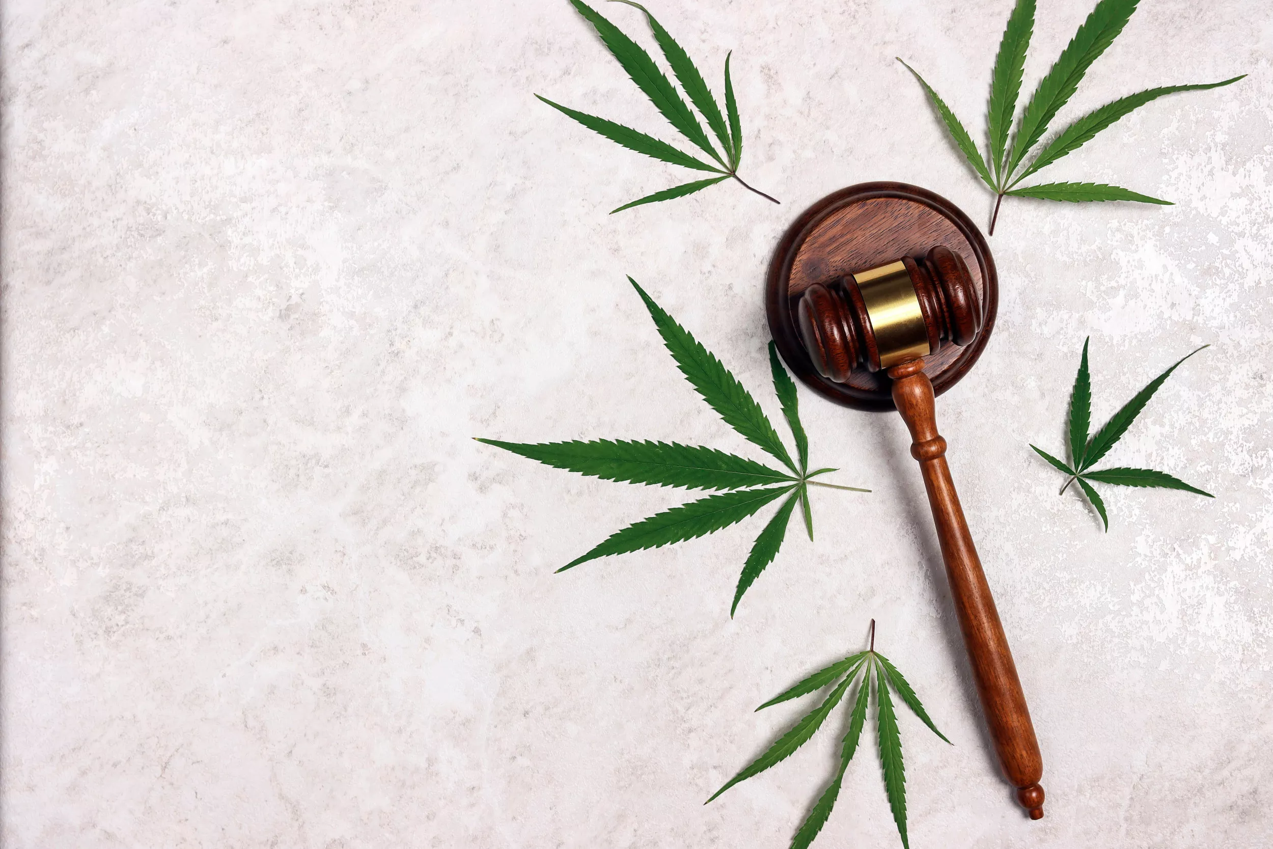 A Path Forward: Combating the Illicit Cannabis Market Through Federal Refor - Vimarsana News