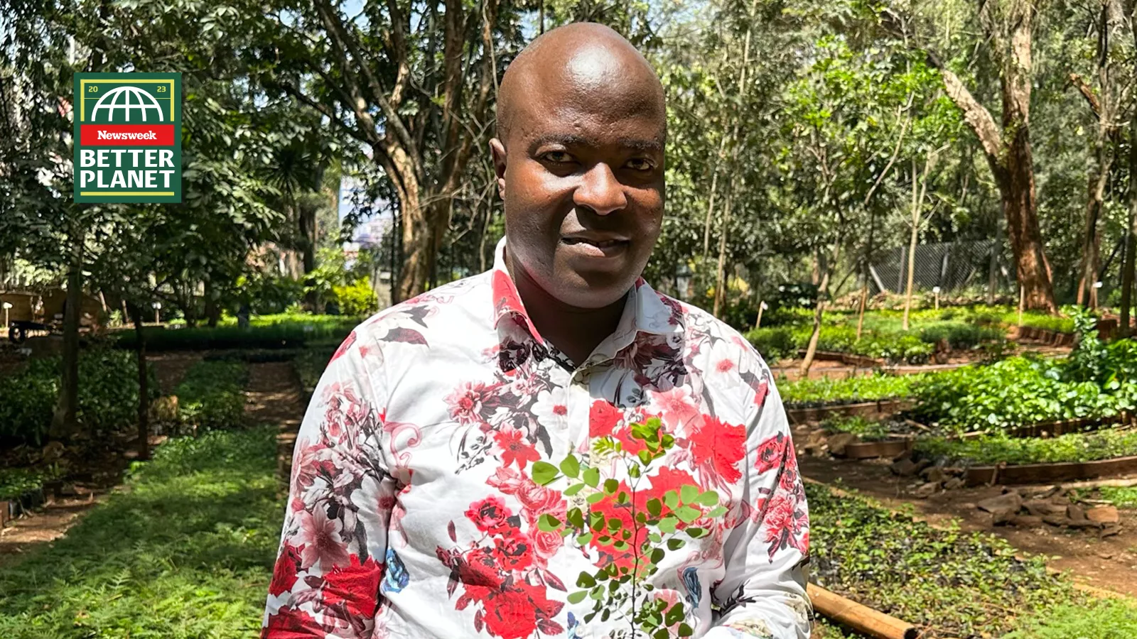 Forester John Ouko Is Helping to Bring Back Kenya's 'Music Tree' - Vimarsana News