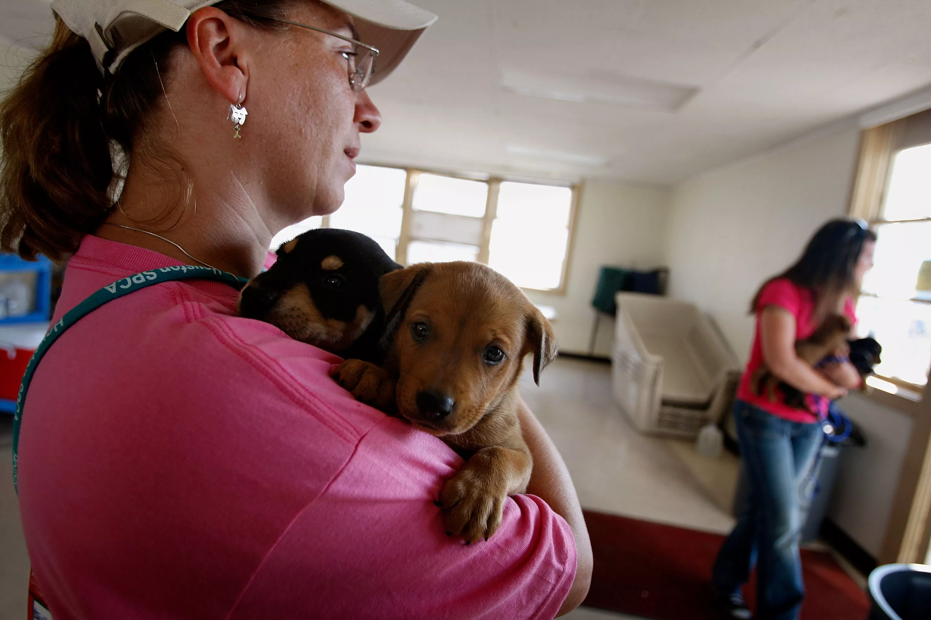 Puppy Found Locked in Sweltering Texas Storage Unit, Ex-NFL Player Arrested - Vimarsana News