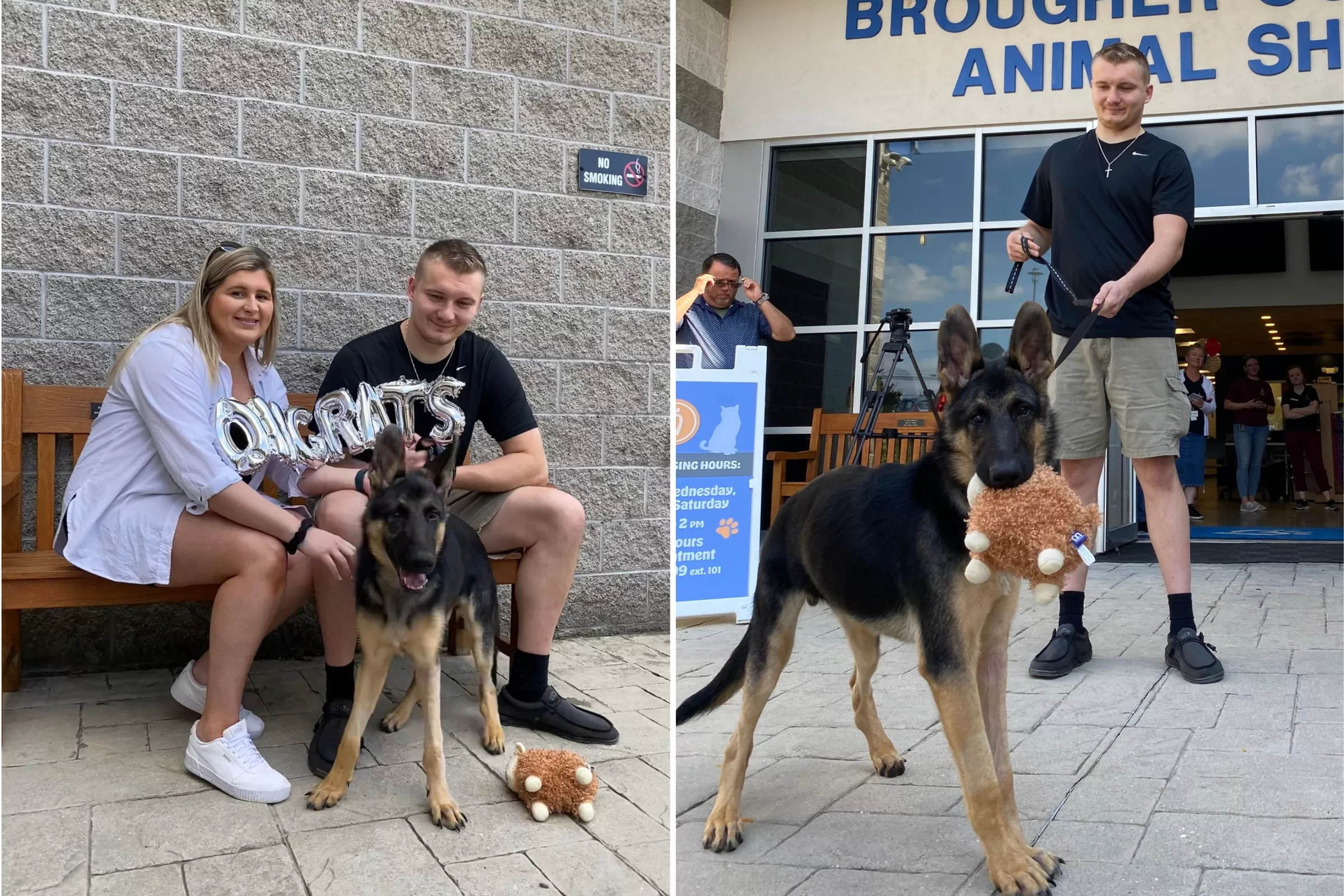 Shelter Dog at Death's Door Set to Get Life He 'Deserved From the Start' - Vimarsana News