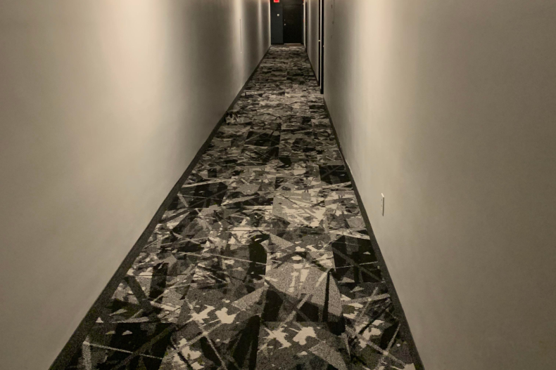 Hidden cat in the hallway