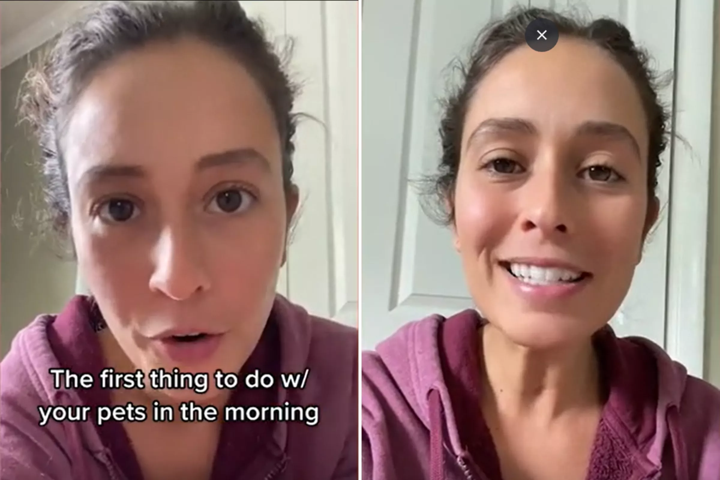 Woman Shares the One Thing Pet Owners Should Do 'First Thing' Each Morning - Vimarsana News