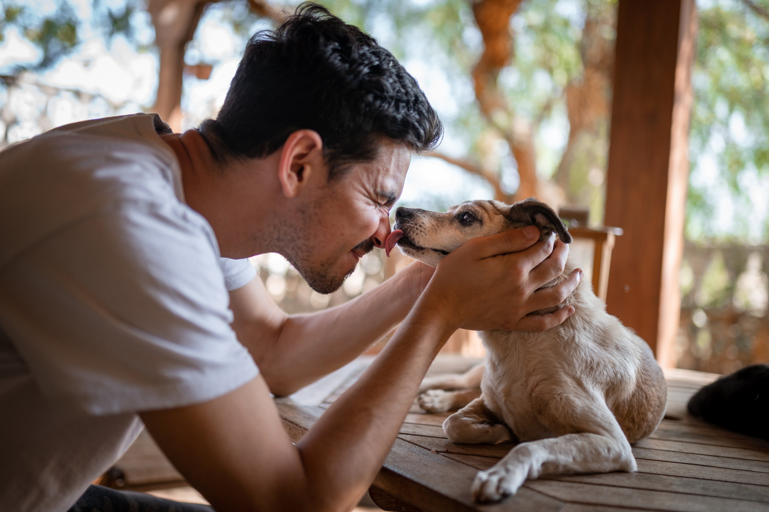 https://d.newsweek.com/en/full/2291281/dog-licking-man.jpg