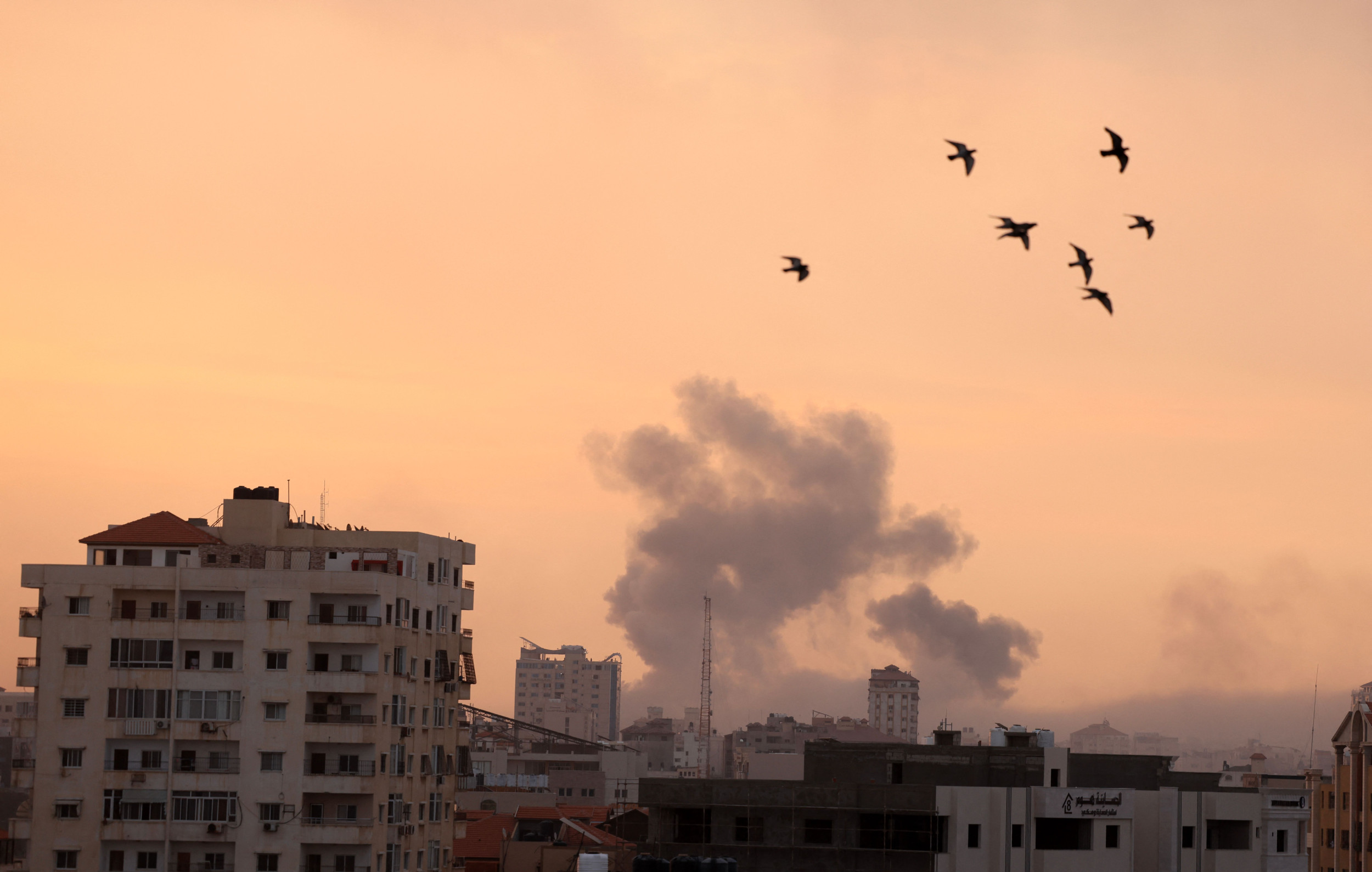 Shani Louk Video Captures Final Moments at Festival Before Hamas Attack