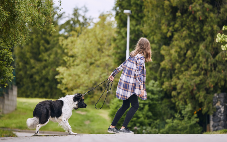 A woman pulls her dog along.