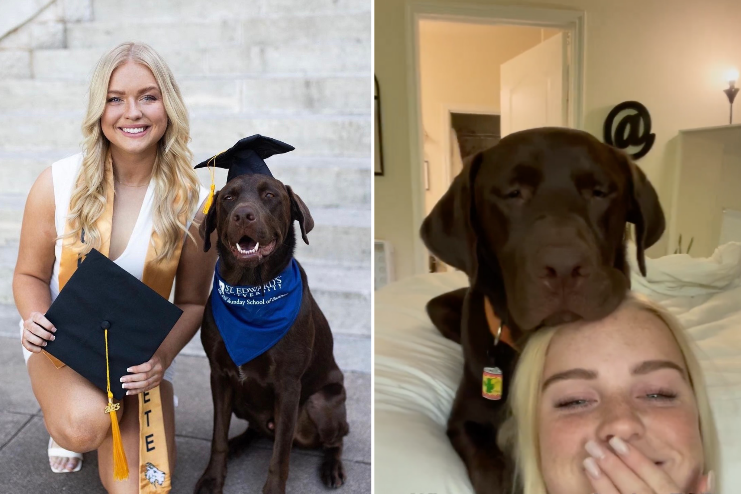 Woman Gets Dog To Help With Anxiety, Plan Hilariously Backfires Woman Gets Dog To Help With Anxiety, Plan Hilariously Backfires