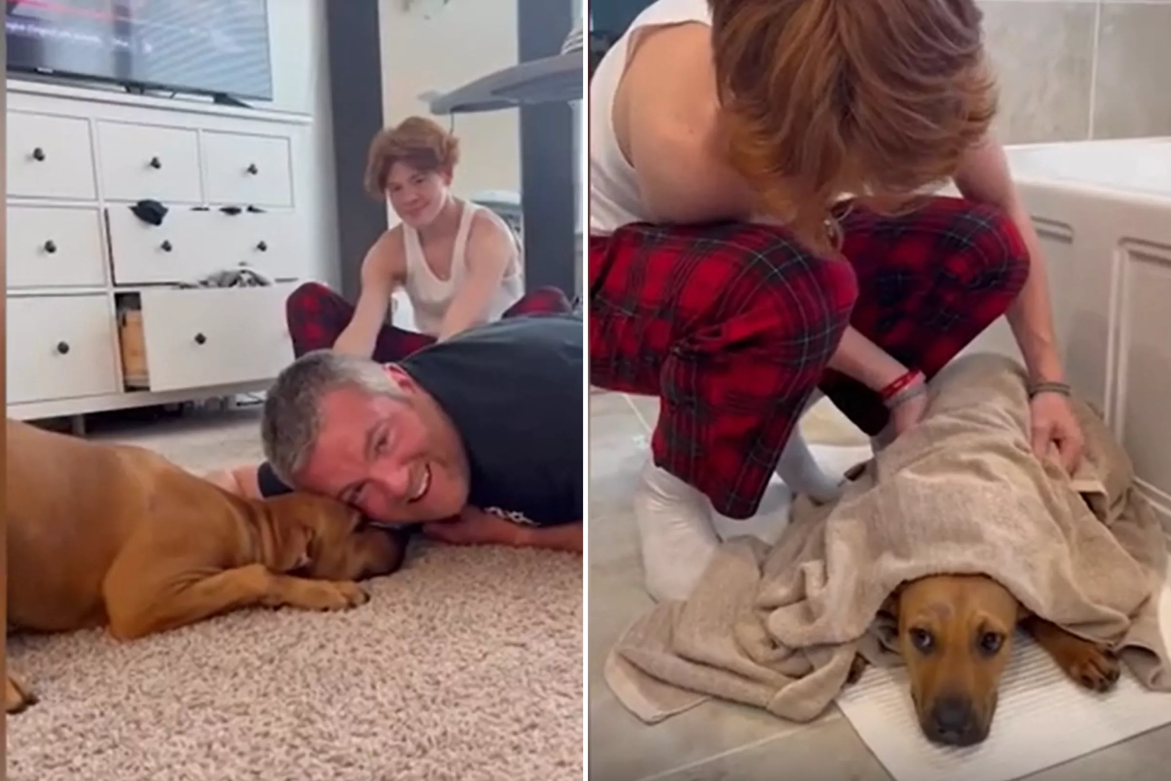 Man Can't Resist Adopting Stray Dog He Discovered at Work: 'Fell In Love' - Vimarsana News