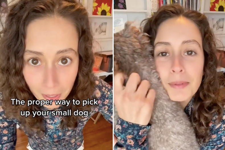 Expert on how to pick up dog