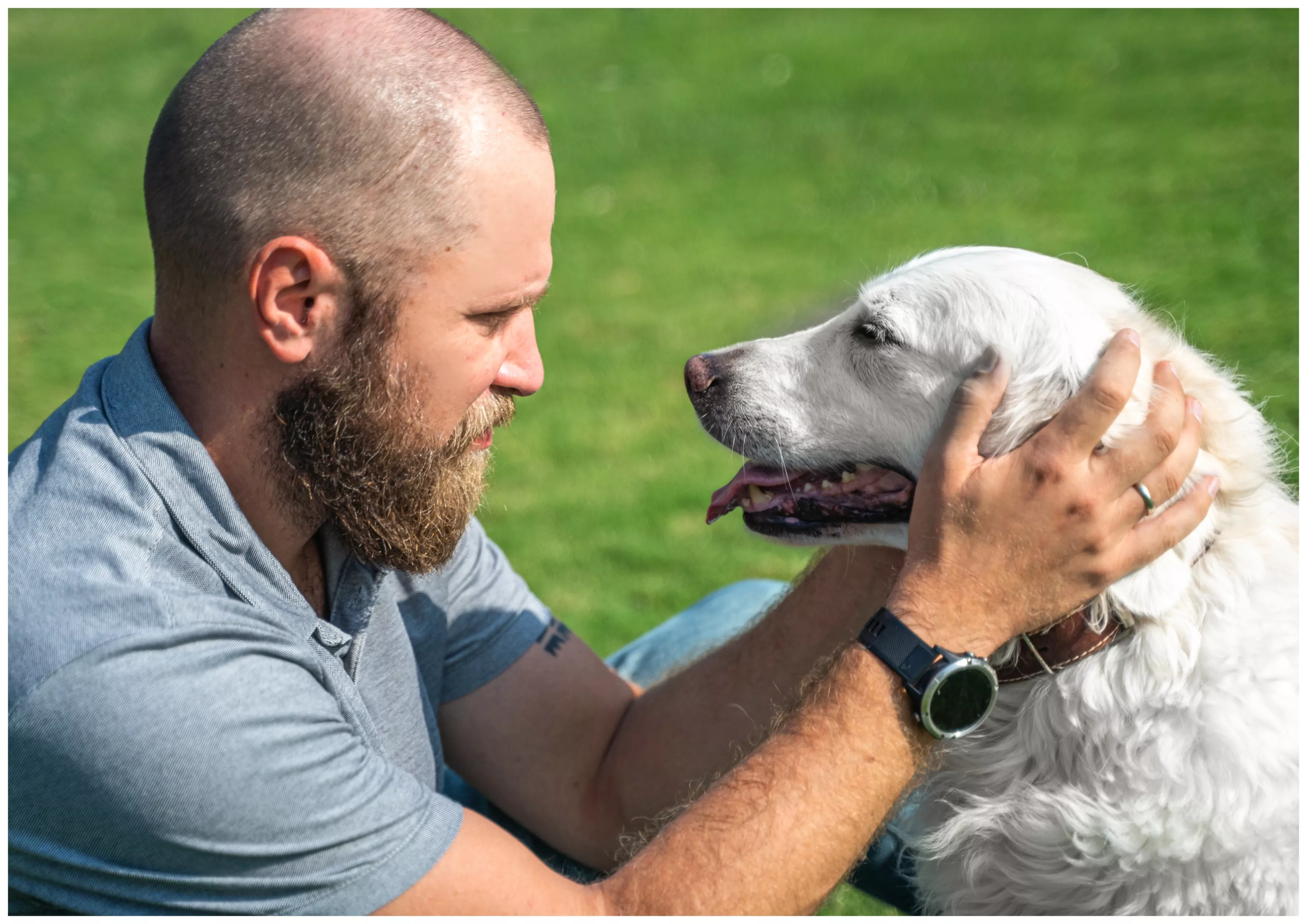 Dog Telling Owner She Loves Him Stuns Internet: 'Full-On Syllables' - Vimarsana News