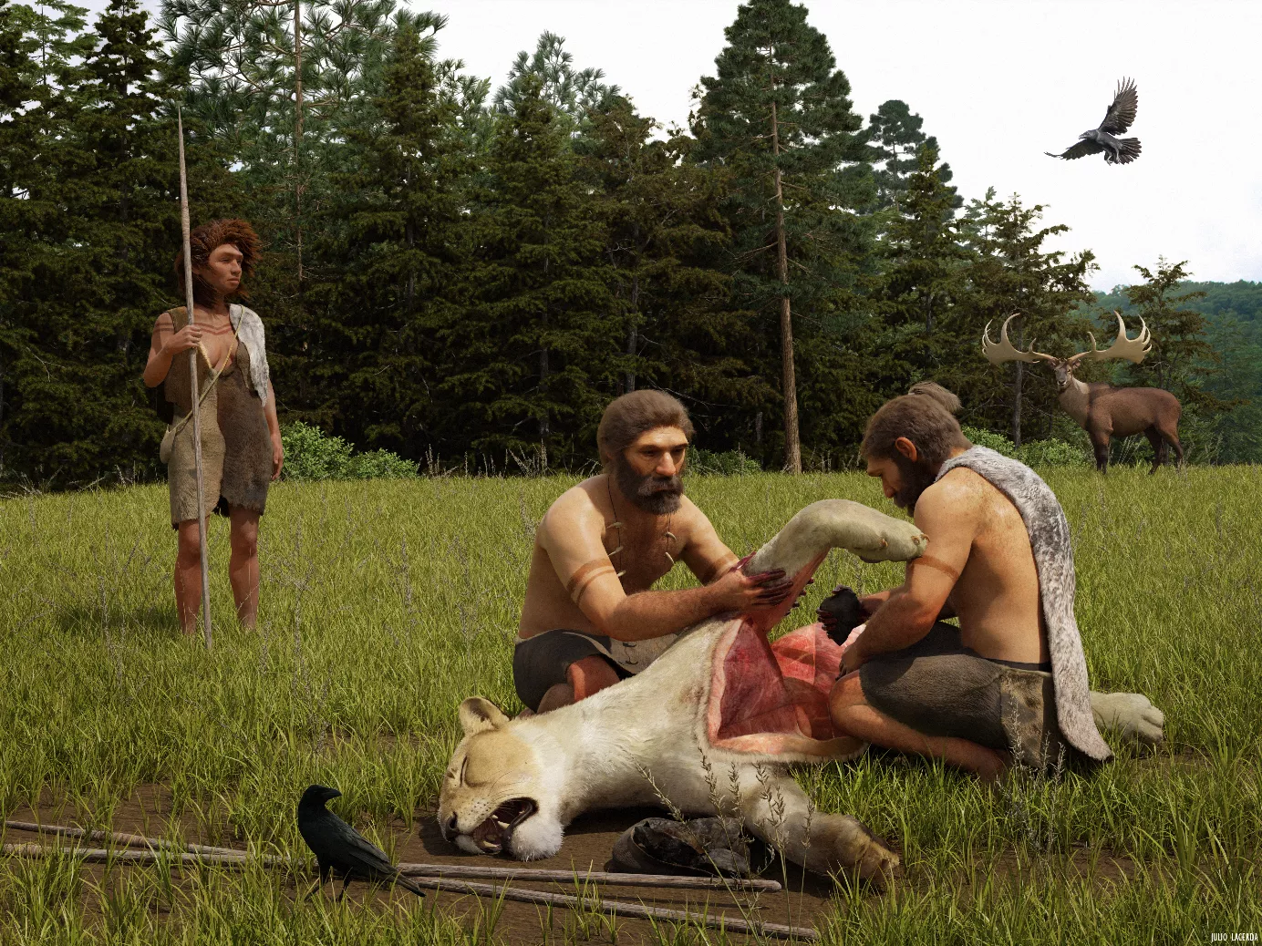 Humans Hunted and Butchered a Cave Lion 48,000 Years Ago, Skeleton Suggests - Vimarsana News