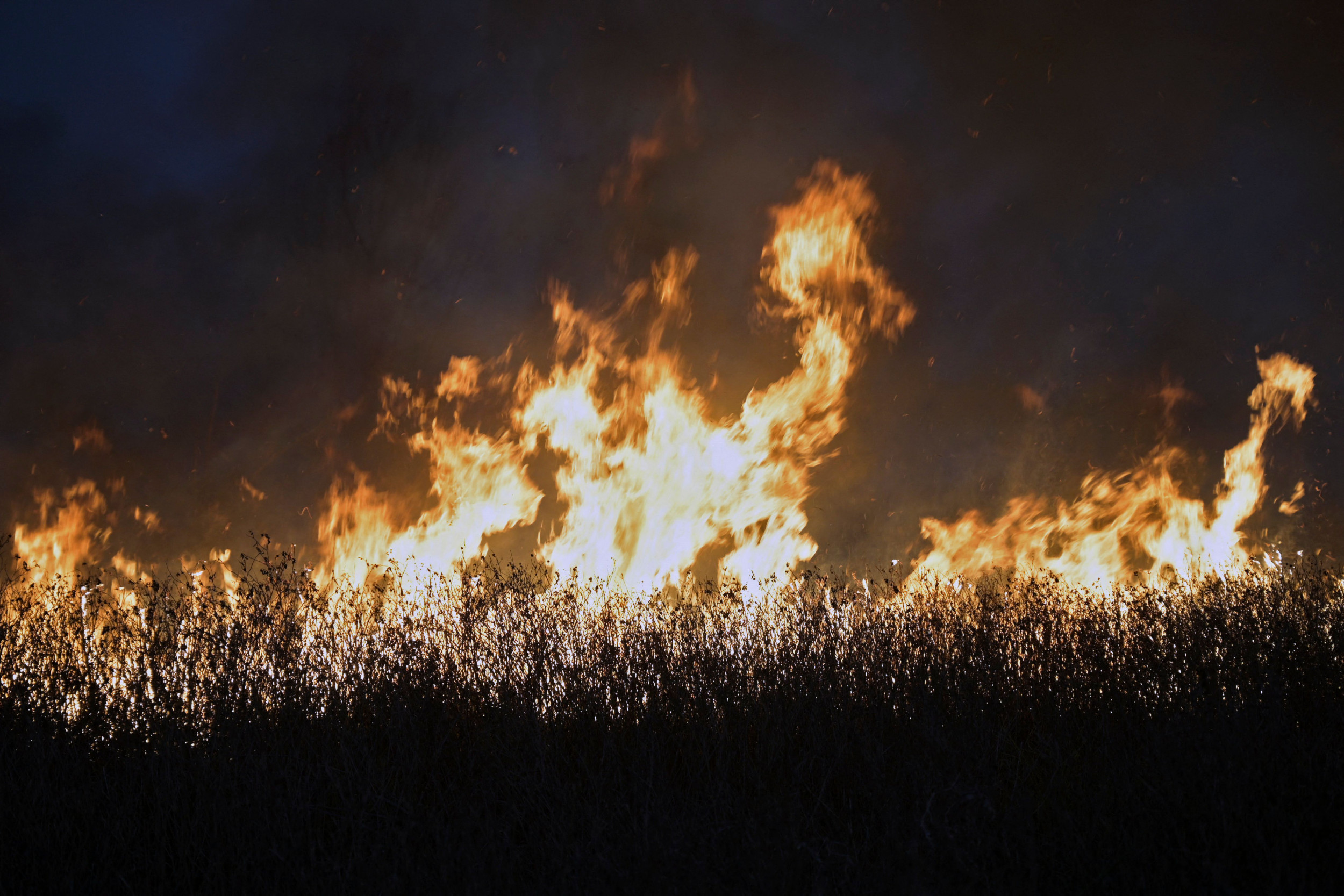 Dramatic Video Shows Wildfire Blazing in Argentina As Residents Evacuate