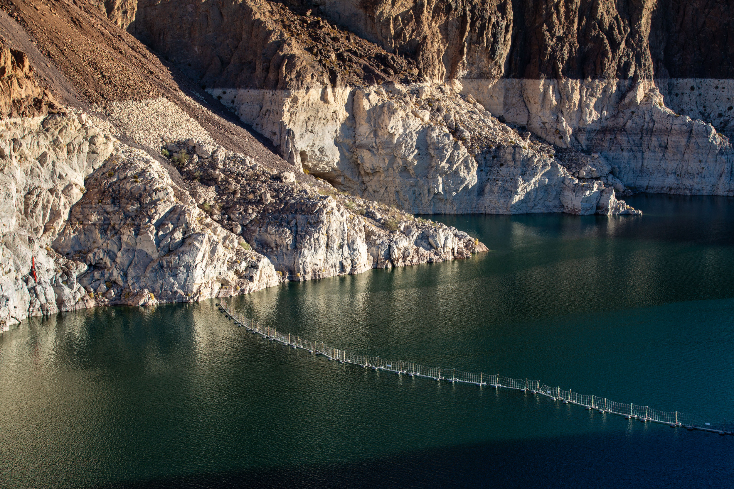 Rare BrainEating Amoeba Sparks Warning About Lake Mead's Water