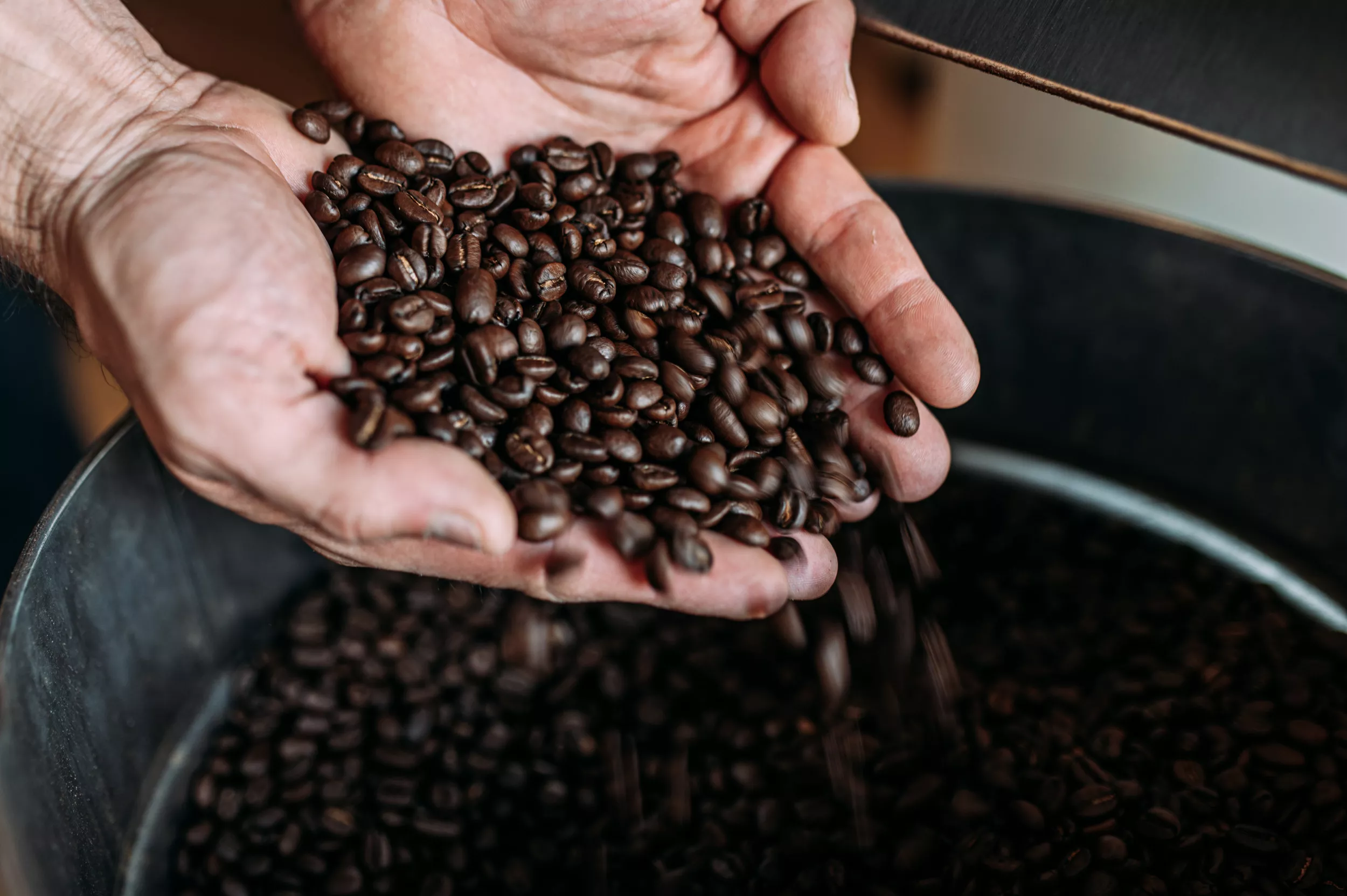 Coffee Prices Could Rise Due to Loss of Insects - Vimarsana News