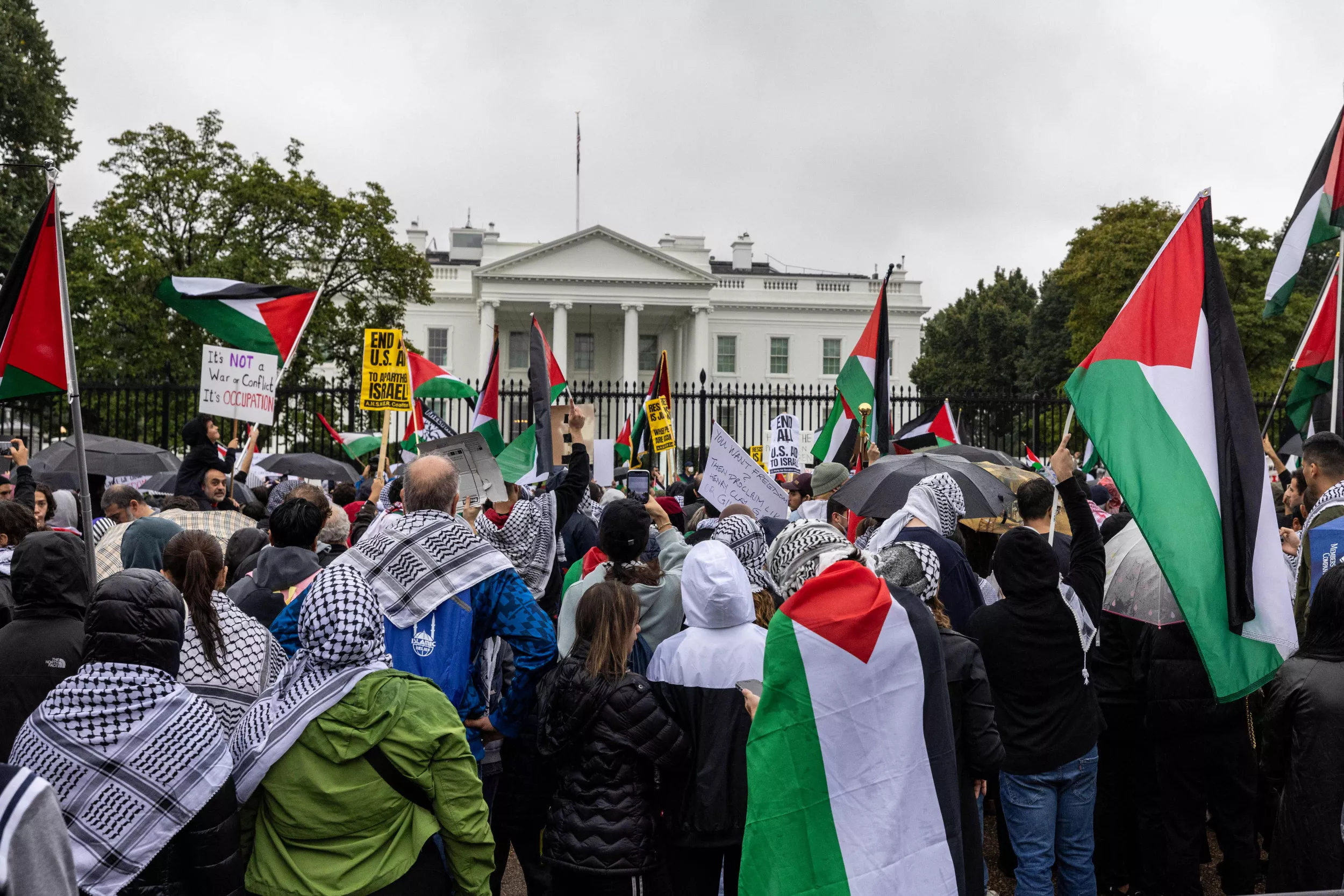 Professor Praising 'Much Needed Cleansing' of Palestinians Sparks Fury - Vimarsana News
