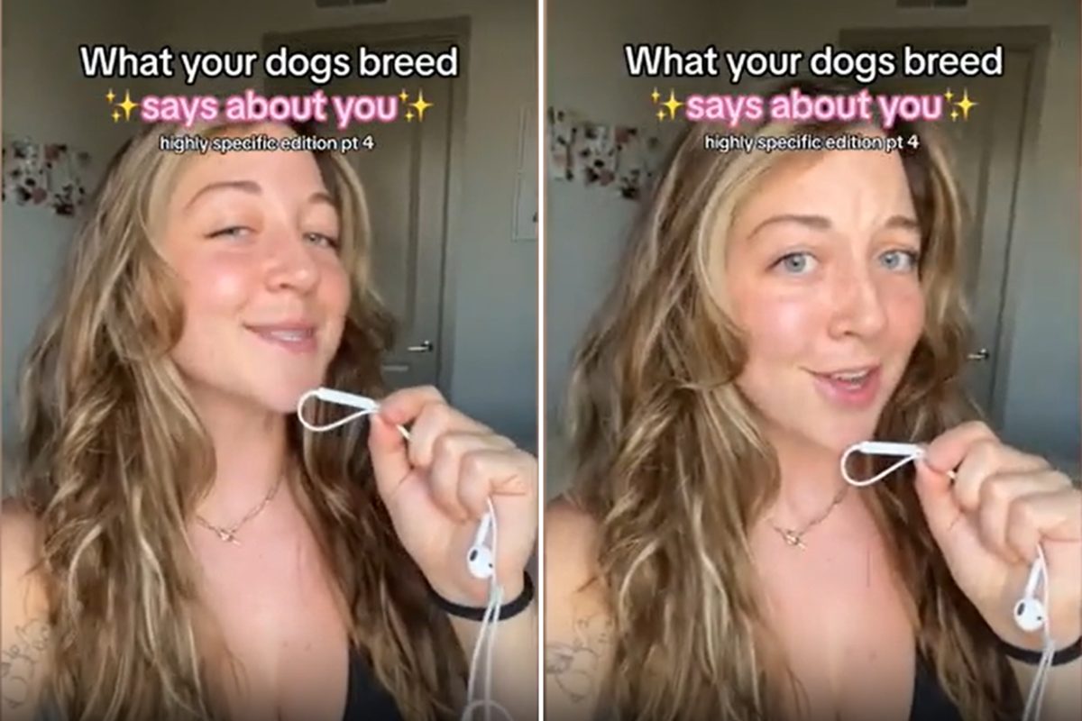 Taylor Pefferkorn dog trainer