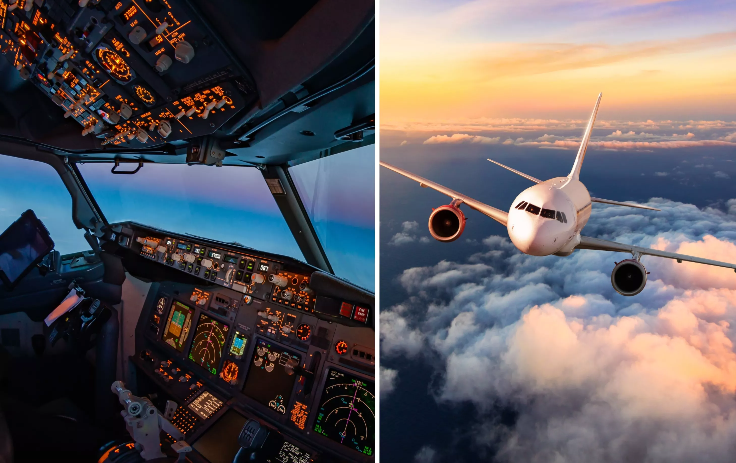 Cockpit View of Planes Flying Past Shocks Internet: 'Terrifying' - Vimarsana News