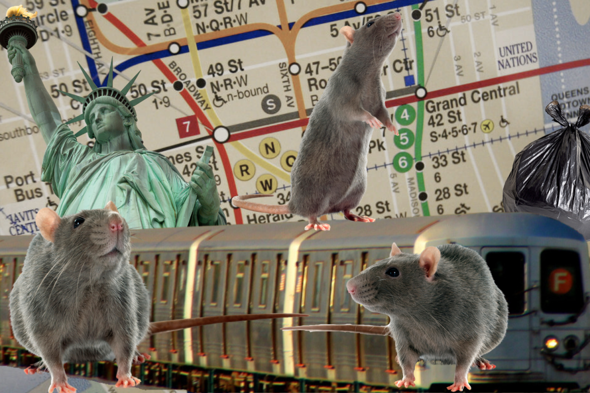 Rats in NYC subway collage