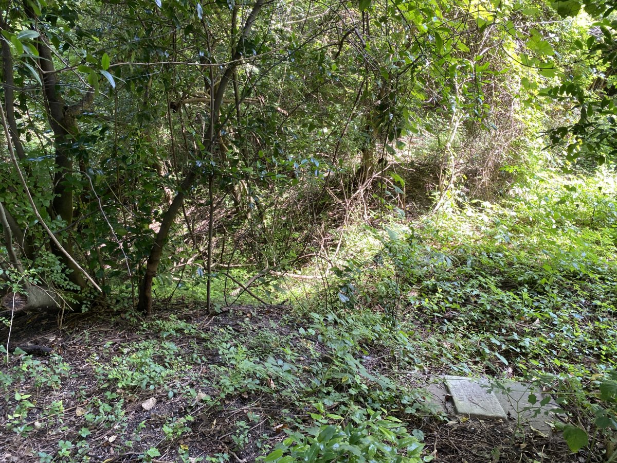 The children's area of Olivewood Cemetery