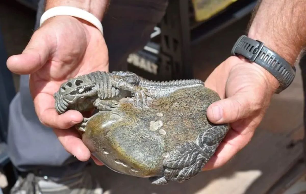 Disappearing Dinosaur Bones Were Sold to China for $1 Million, Feds Charge Disappearing Dinosaur Bones Were Sold to China for $1 Million, Feds Charge