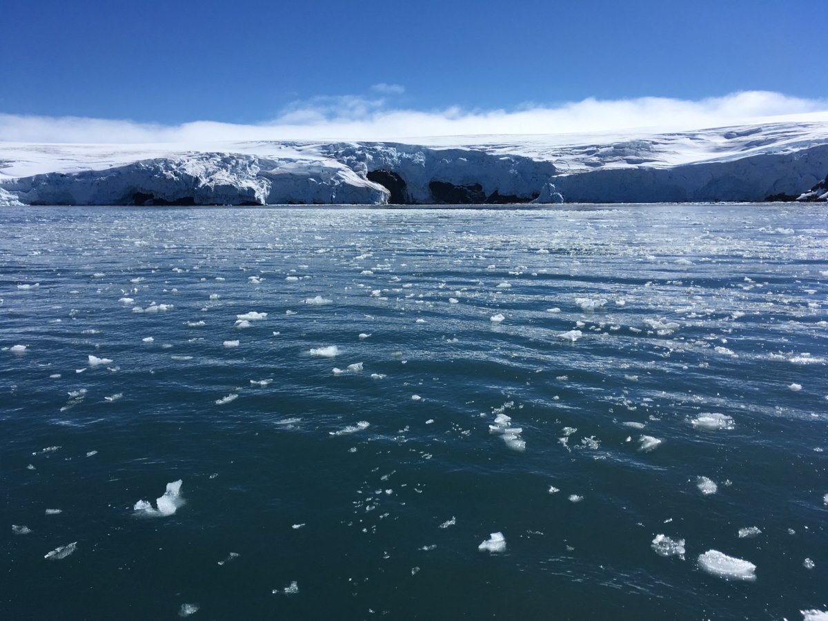 West Antarctic Ice Sheet Melting Submerge Florida