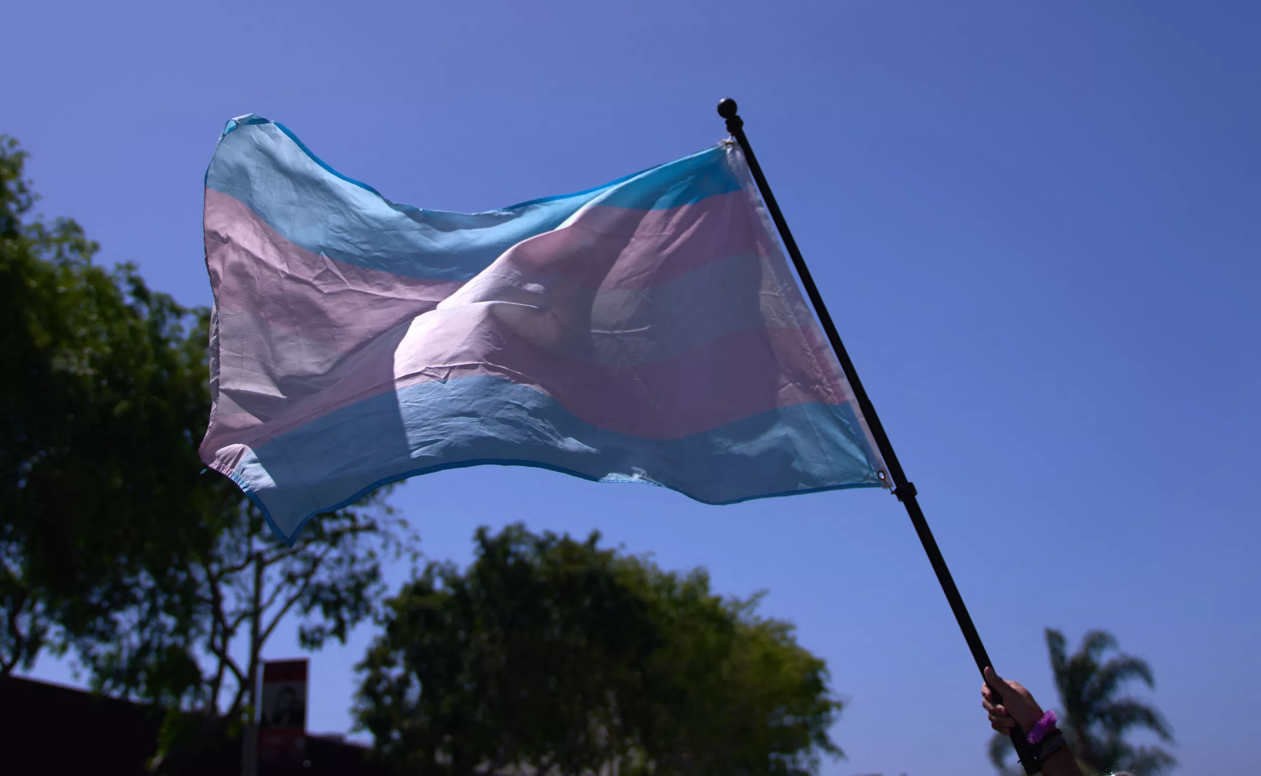 Transgender 11-Year-Old Becomes Youngest Grand Marshal at Pride Parade - Vimarsana News