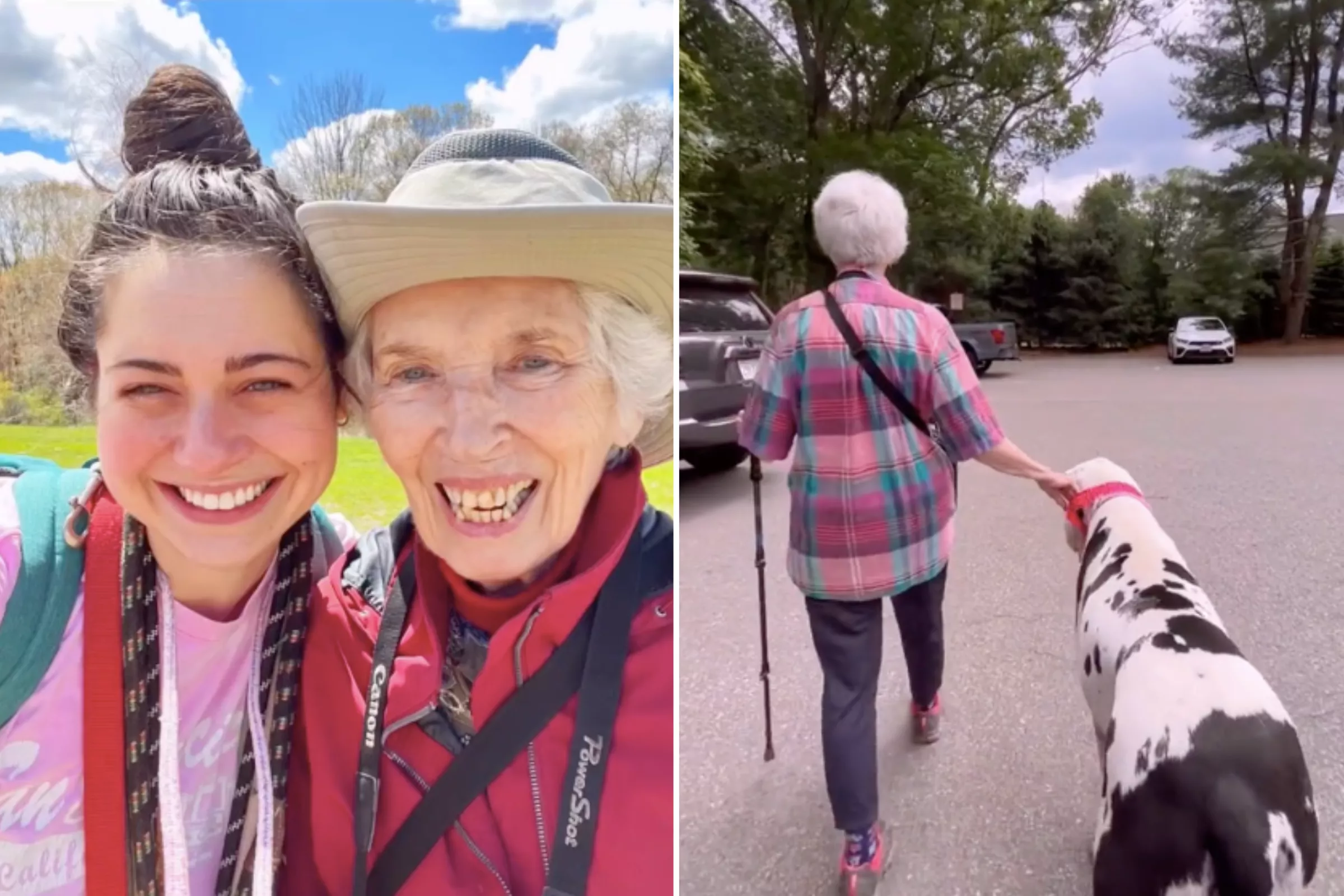 How Great Dane Adopted a Widow as His 'New Grandma' in Heartwarming Tale - Vimarsana News