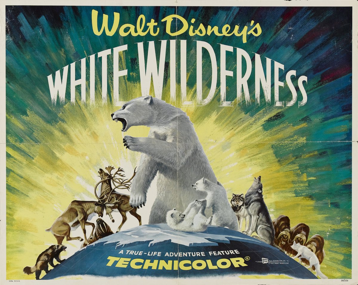 The poster for Disney's "White Wilderness", 1958
