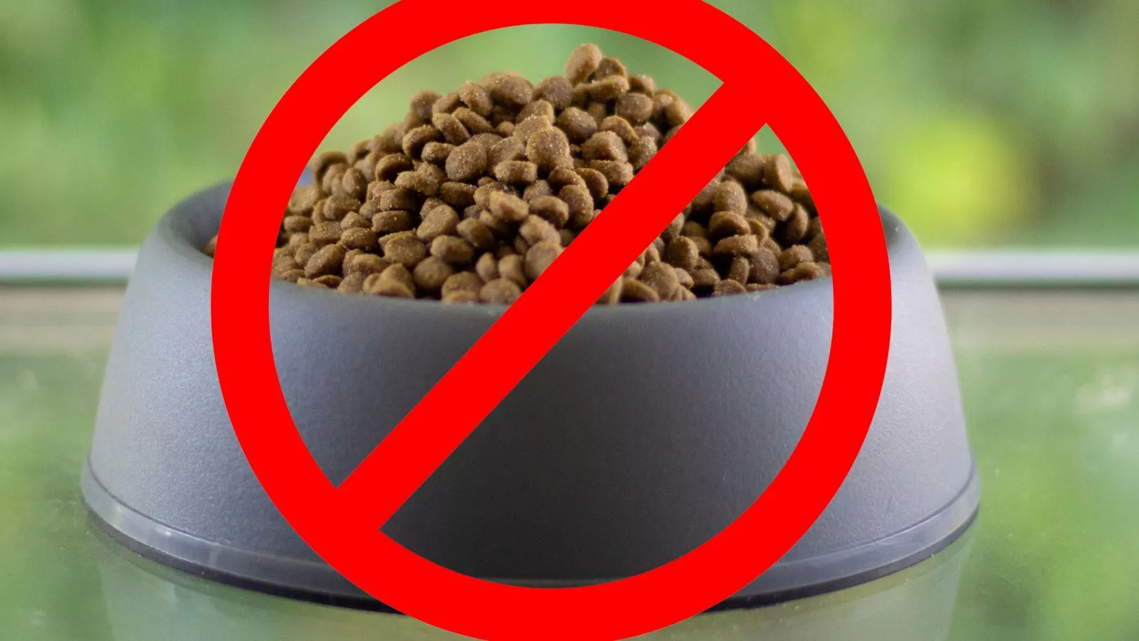 Cdc clearance dog food