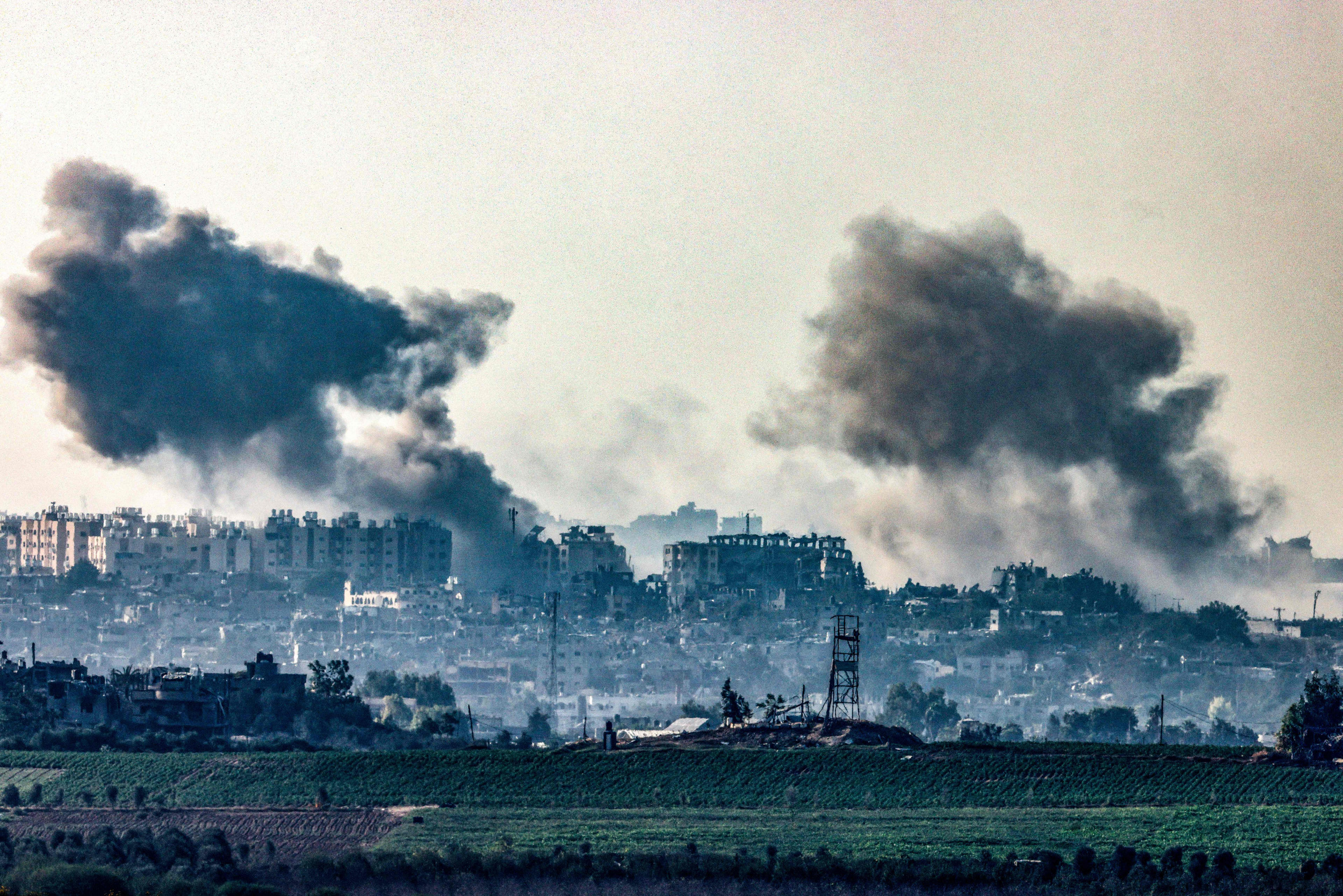 The Left is Empowering Peacemakers, Not Violent Extremists | Opinion