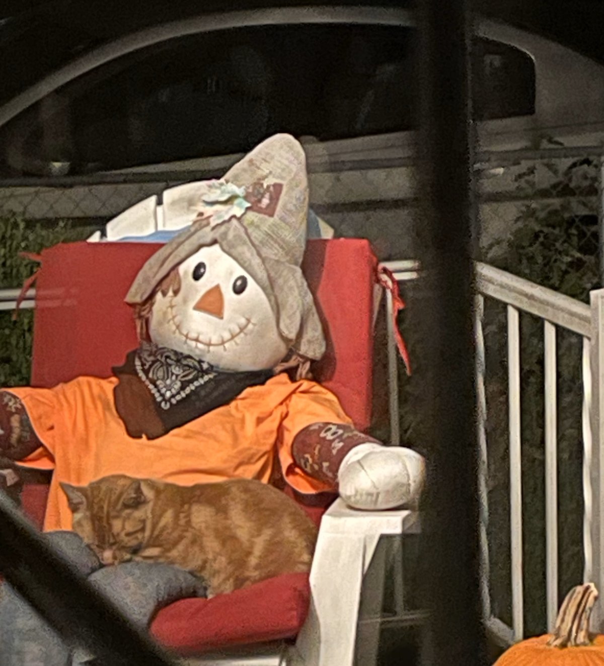 Cat sleeping beside scarecrow
